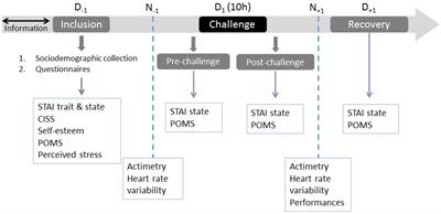 Anxiety and Psycho-Physiological Stress Response to Competitive Sport Exercise